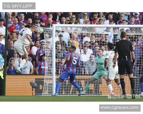 2019年2月7日水晶宫主场迎战曼联精彩对决回顾与赛后分析